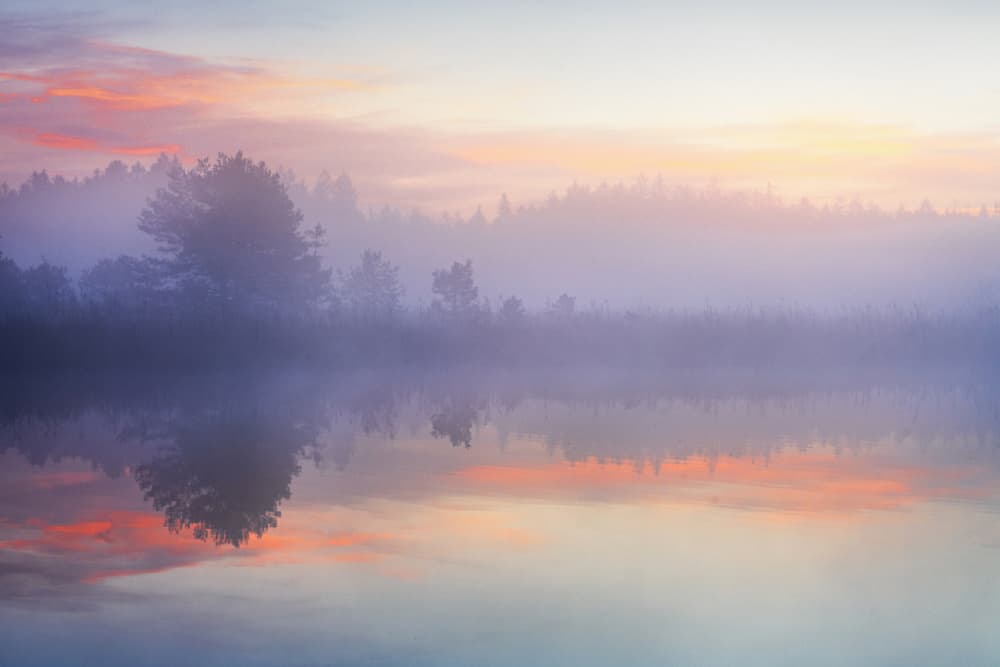 Misty Lake Sunrise by Ulrike Eisenmann — canvas wall art