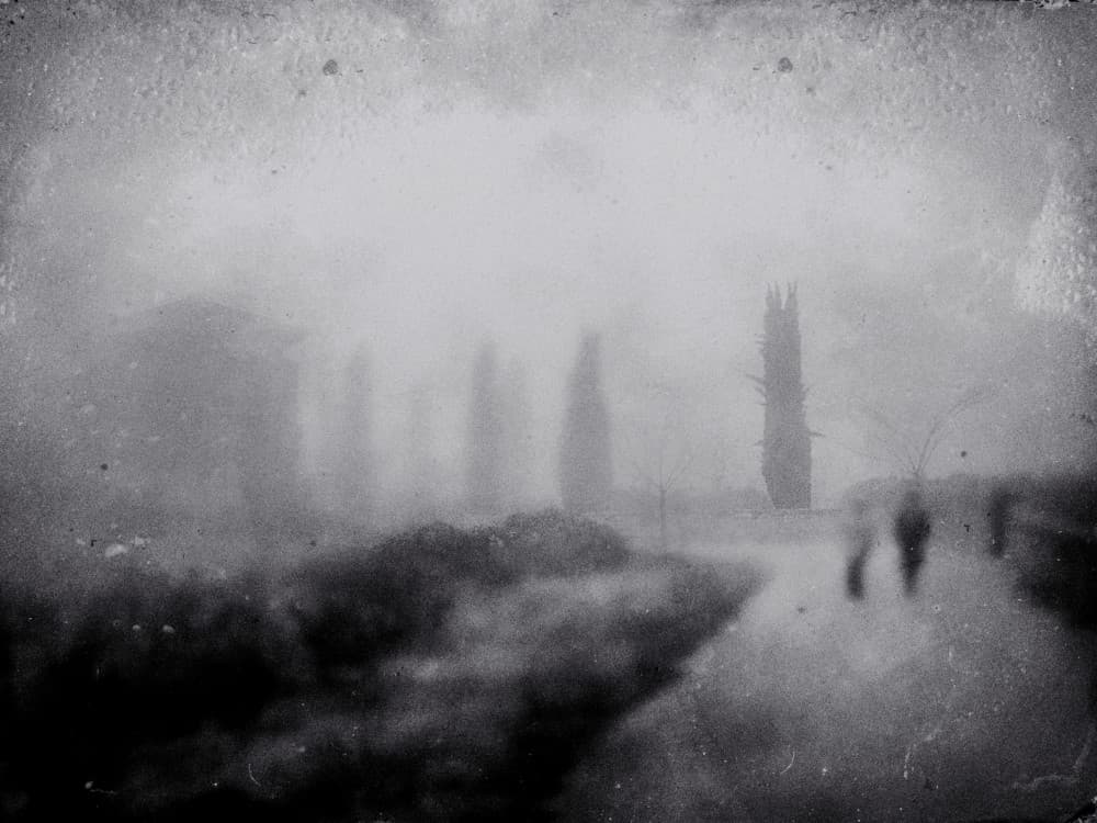Misty Path Figures by txules — canvas wall art