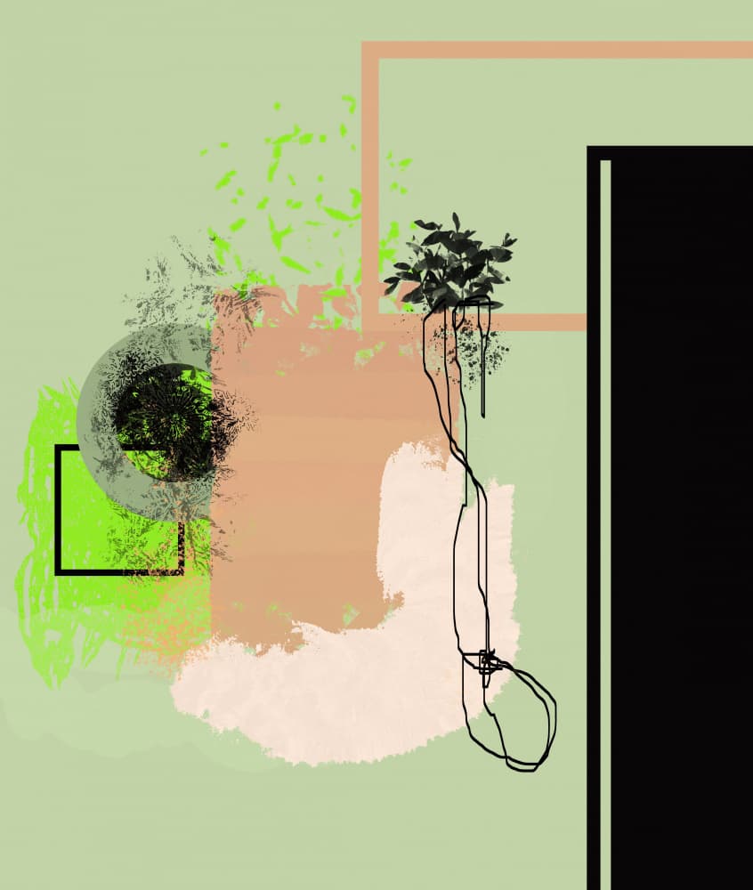 Geometric Plant Study by Pelin Atilla — canvas wall art