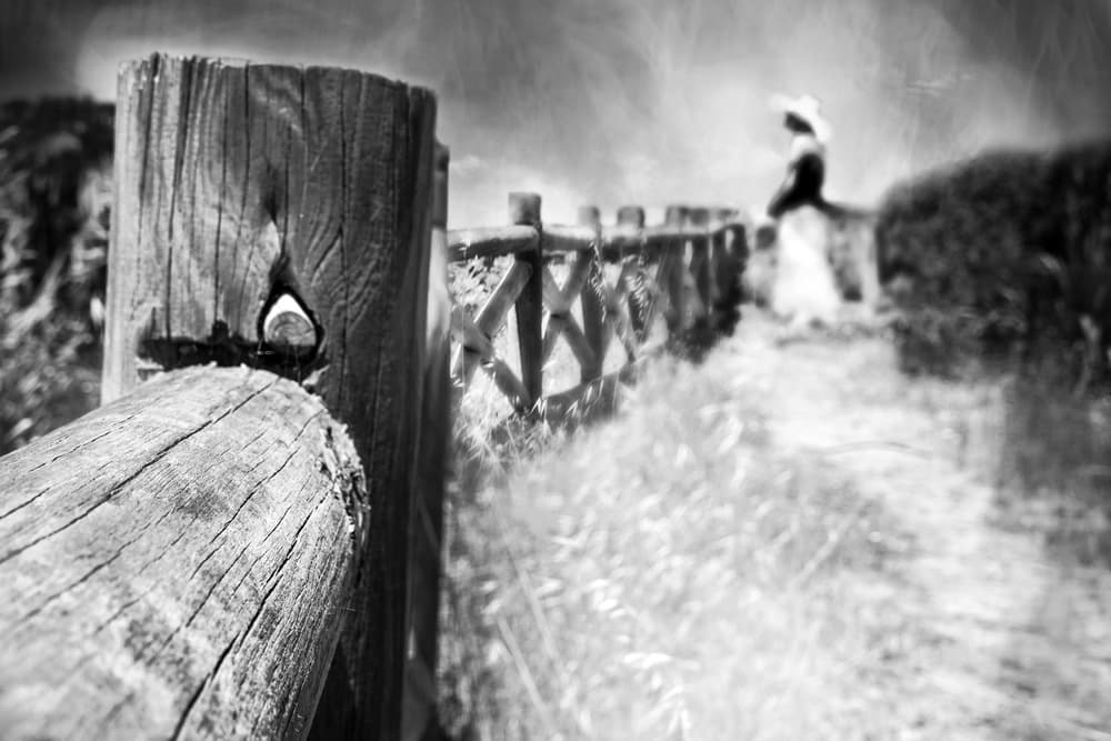 a day like this by Ina Tänzer — canvas wall art