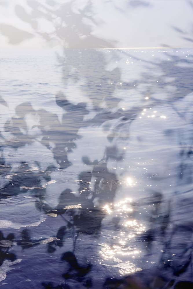 Serene Water Reflections by Olivia Joy StClaire — canvas wall art