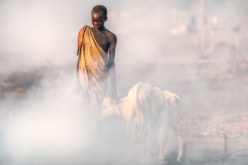 African Boy Golden Mist by Trevor Cole — canvas wall art