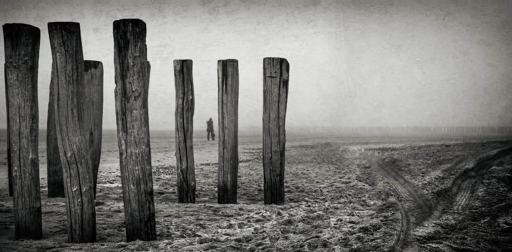 Desolate Shoreline Posts by Gilbert Claes — canvas wall art