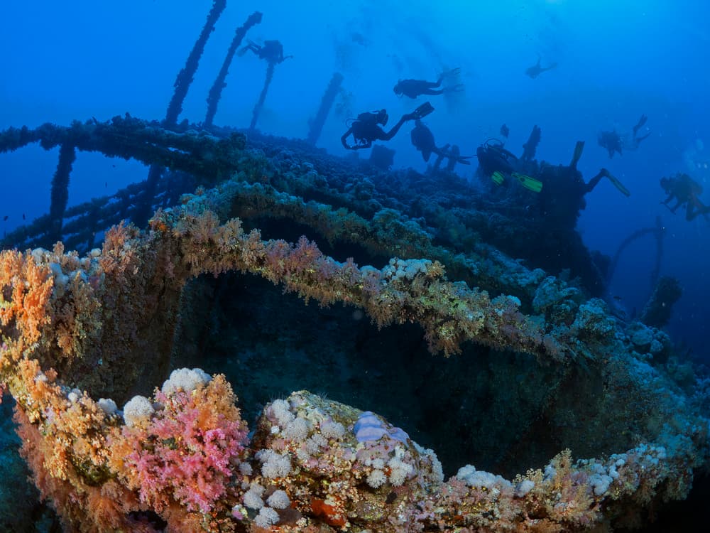 Vibrant Coral Shipwreck Dive by Ilan Ben Tov — canvas wall art