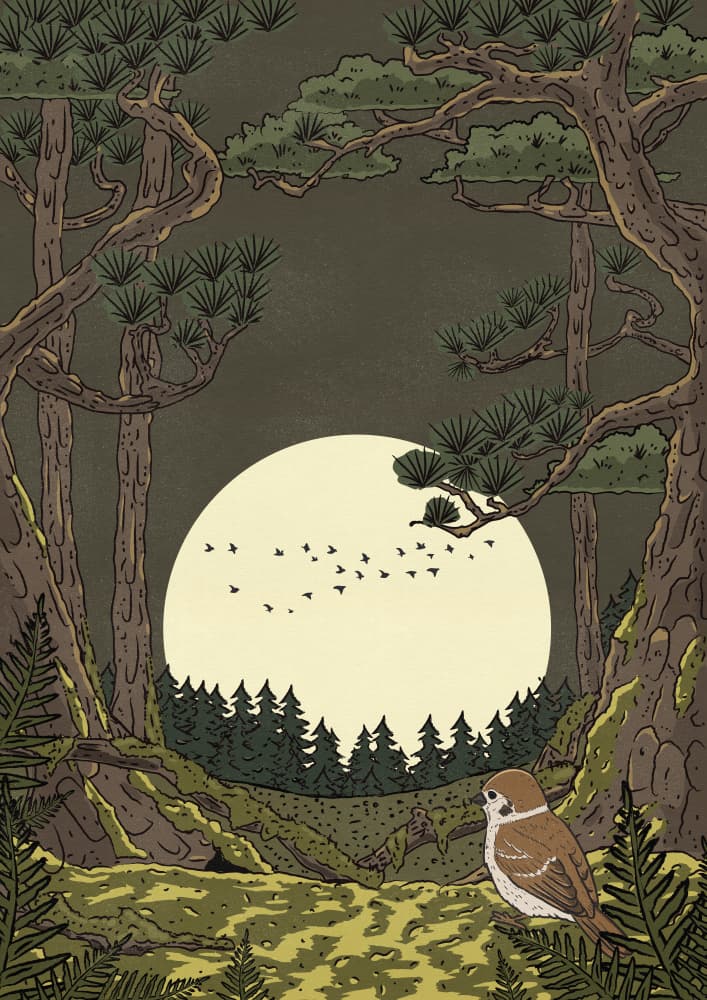 Moonlit Forest Bird by Nicholas — canvas wall art
