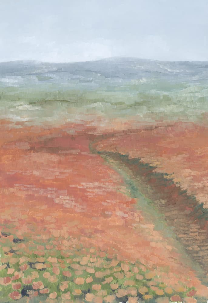 Path Through Blooming Field by Rosana Laiz Blursbyai — canvas wall art