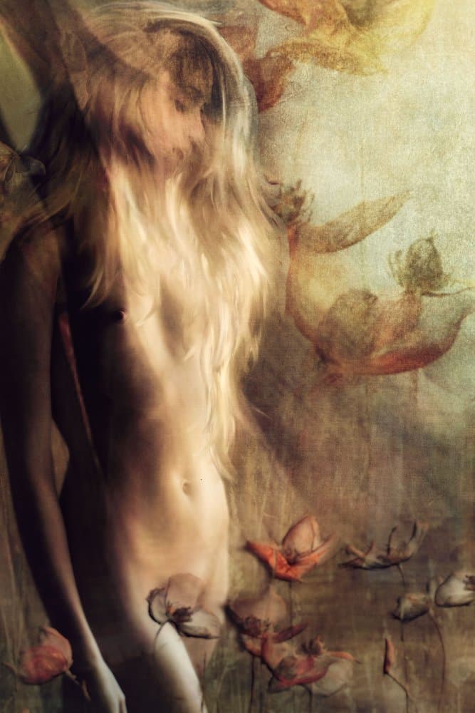 Ethereal Blonde Dream by Charlaine Gerber — canvas wall art