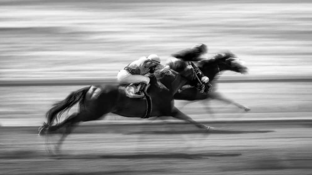 Galloping Race Horses by Steven Zhou — canvas wall art
