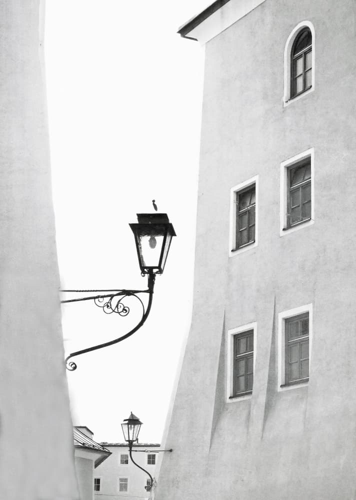 Bird On Street Lamp by Anna Cseresnjes — canvas wall art