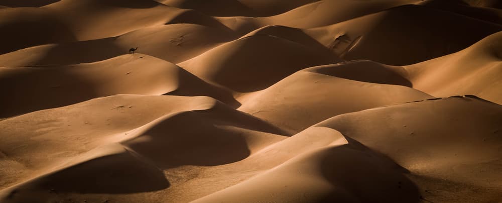 Golden Desert Dunes by Khalid Jamal — canvas wall art