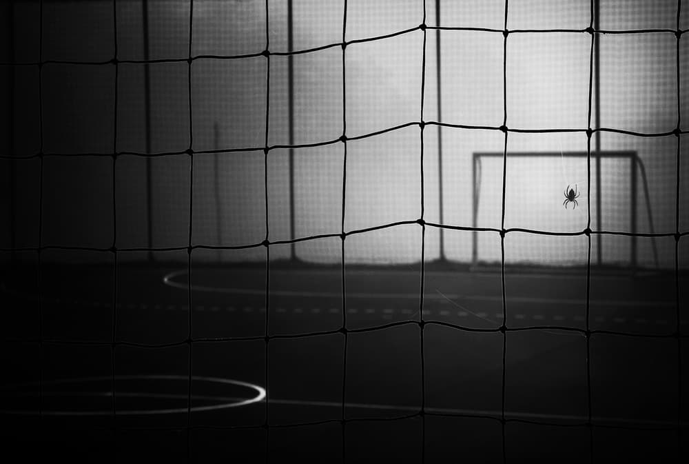 Empty Court Spider by Samanta Krivec — canvas wall art
