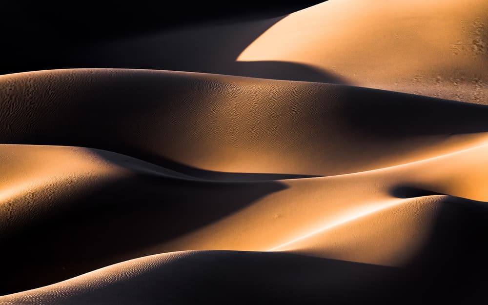 Golden Desert Dunes by Mohammadreza Momeni — canvas wall art