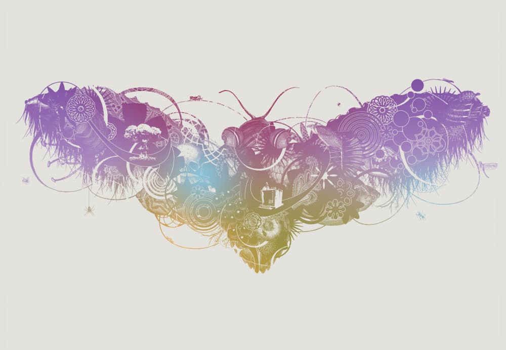 Intricate Gradient Moth by Jaco Putker — canvas wall art