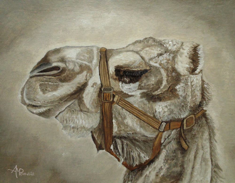 Gentle Camel Portrait by Angeles M. Pomata — canvas wall art