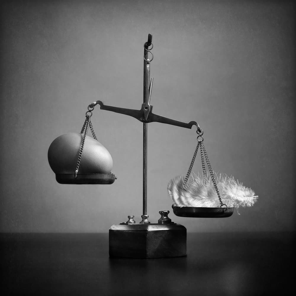 The Weight of Feathers by Victoria Glinka — canvas wall art