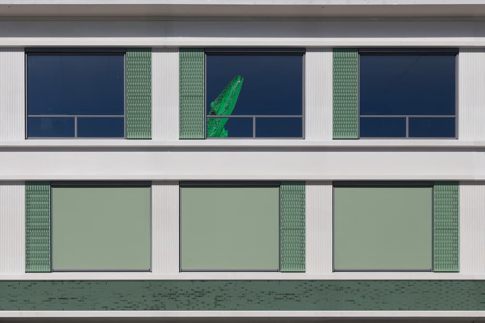 Green Crocodile Window by Theo Luycx — canvas wall art