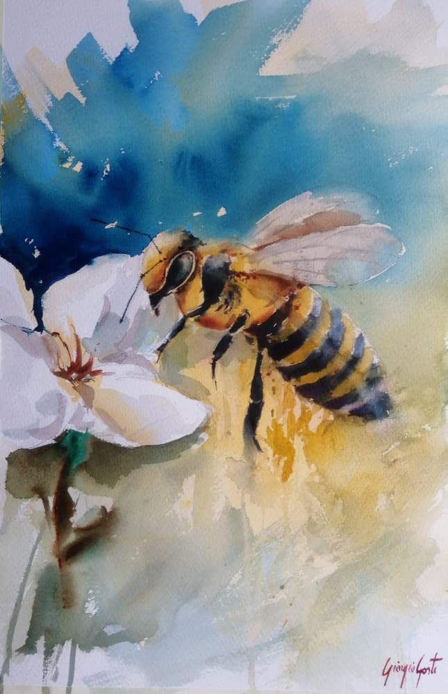 Watercolor Honeybee on Flower by Giorgio Gosti — canvas wall art