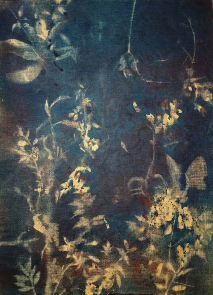 Ethereal Blue Botanicals by Stefano Mazzolini — canvas wall art