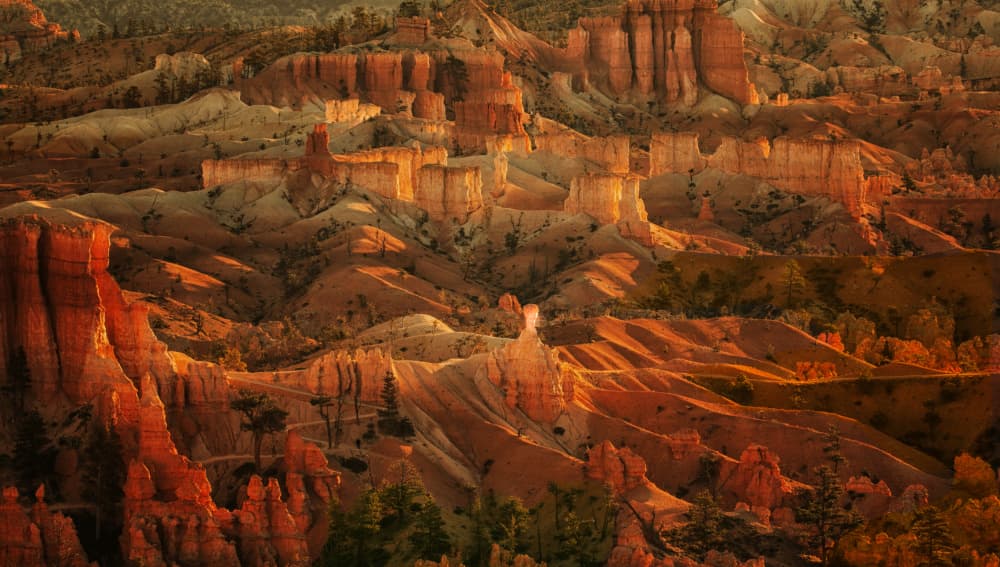 Sunlit Desert Canyon by May G — canvas wall art