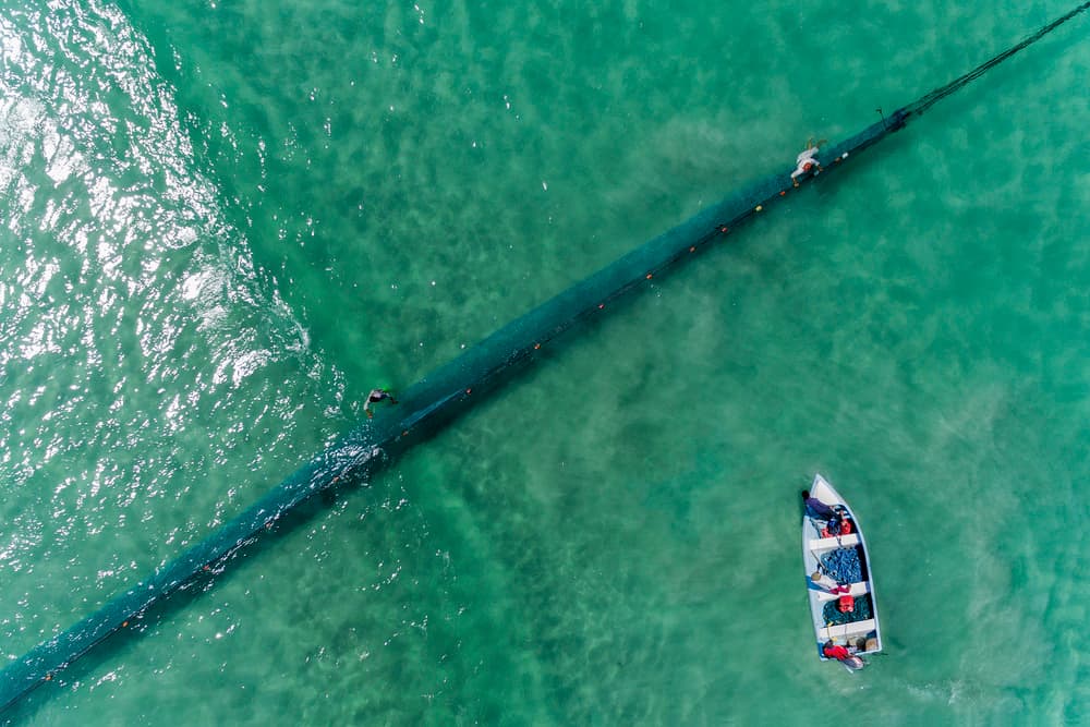Turquoise Water Fishing by Haitham AL Farsi — canvas wall art