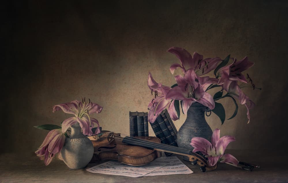 Moody Lilies and Violin by May G — canvas wall art
