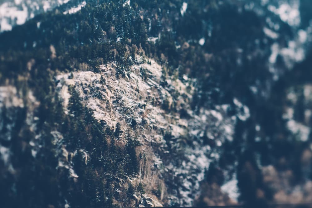 Snowy Mountain Forest by Javier Pardina — canvas wall art