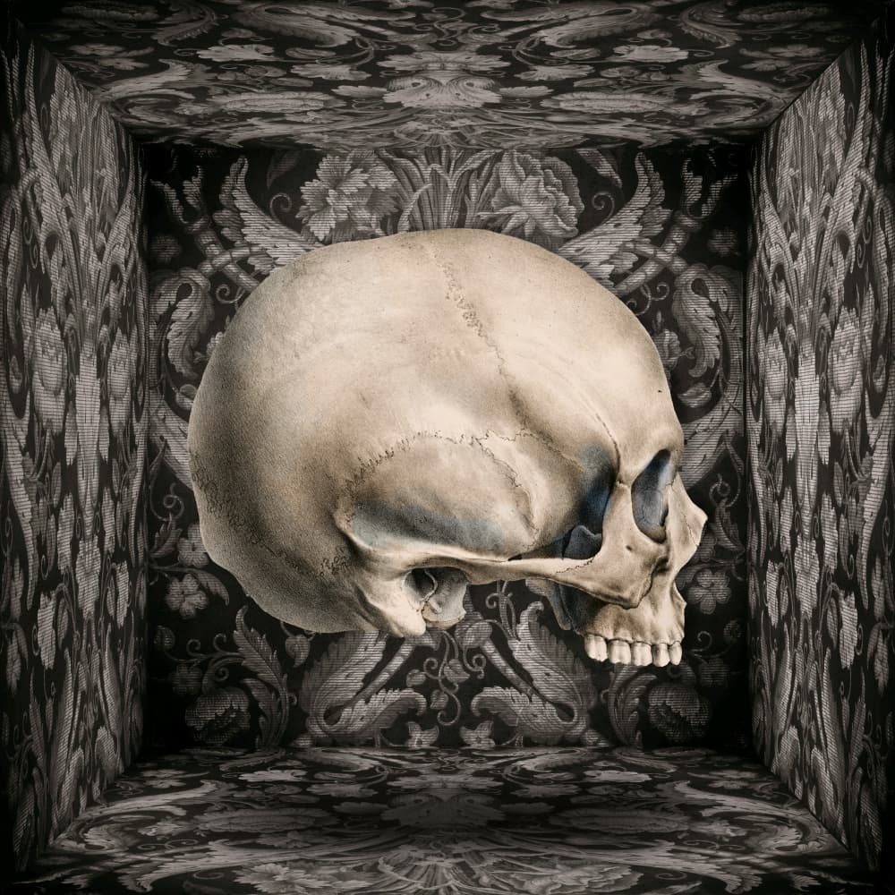 Dark Ornate Skull by Marja van den Hurk — canvas wall art