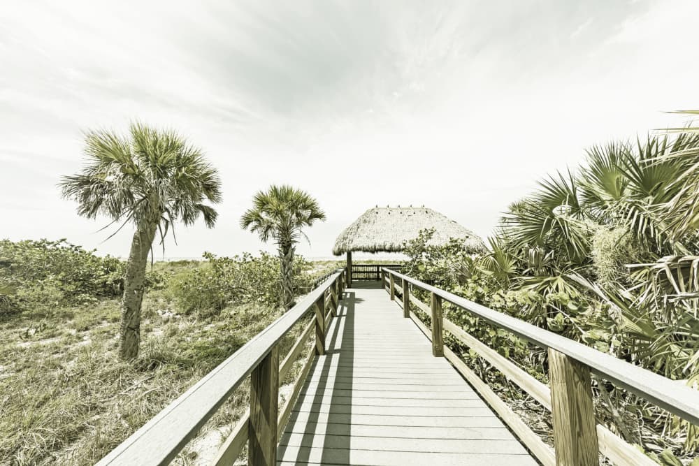 Tropical Boardwalk Path by Melanie Viola — canvas wall art