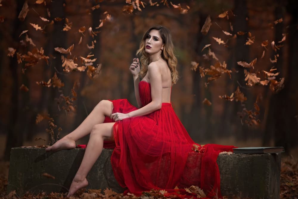 Autumn Elegance in Red by Bogdan Negoita — canvas wall art