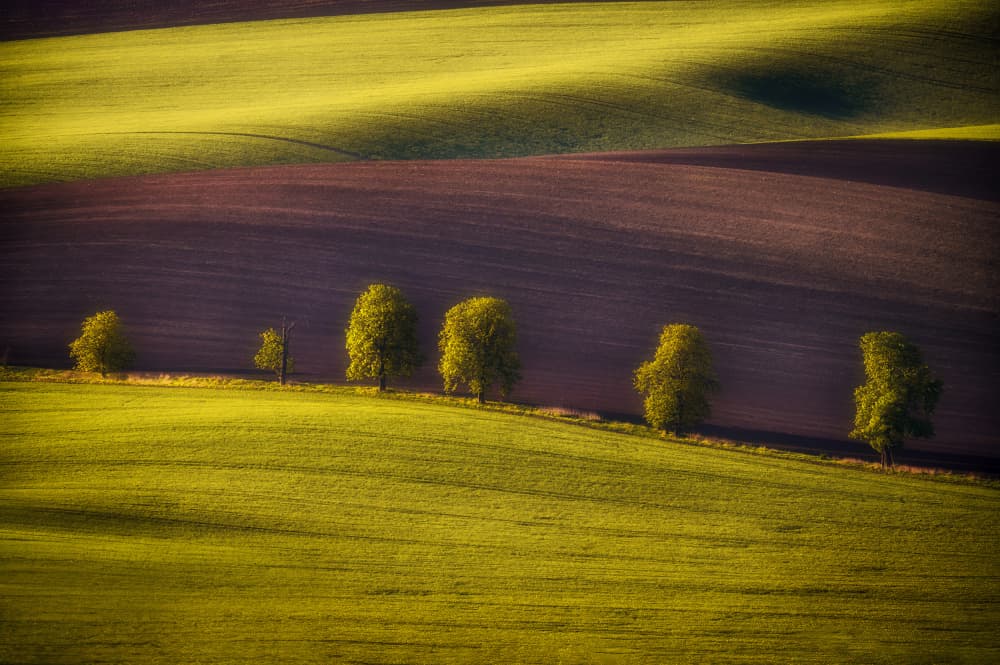 Rolling Green Fields by Martin Morávek — canvas wall art