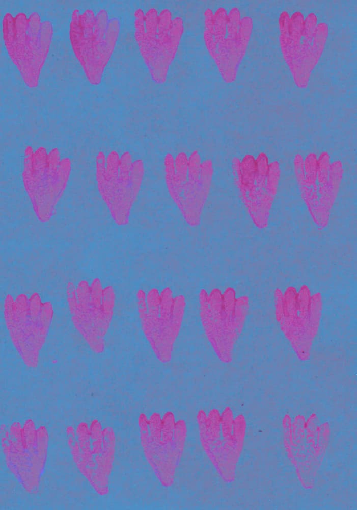 Pink Petal Pattern by Santhosh ch — canvas wall art