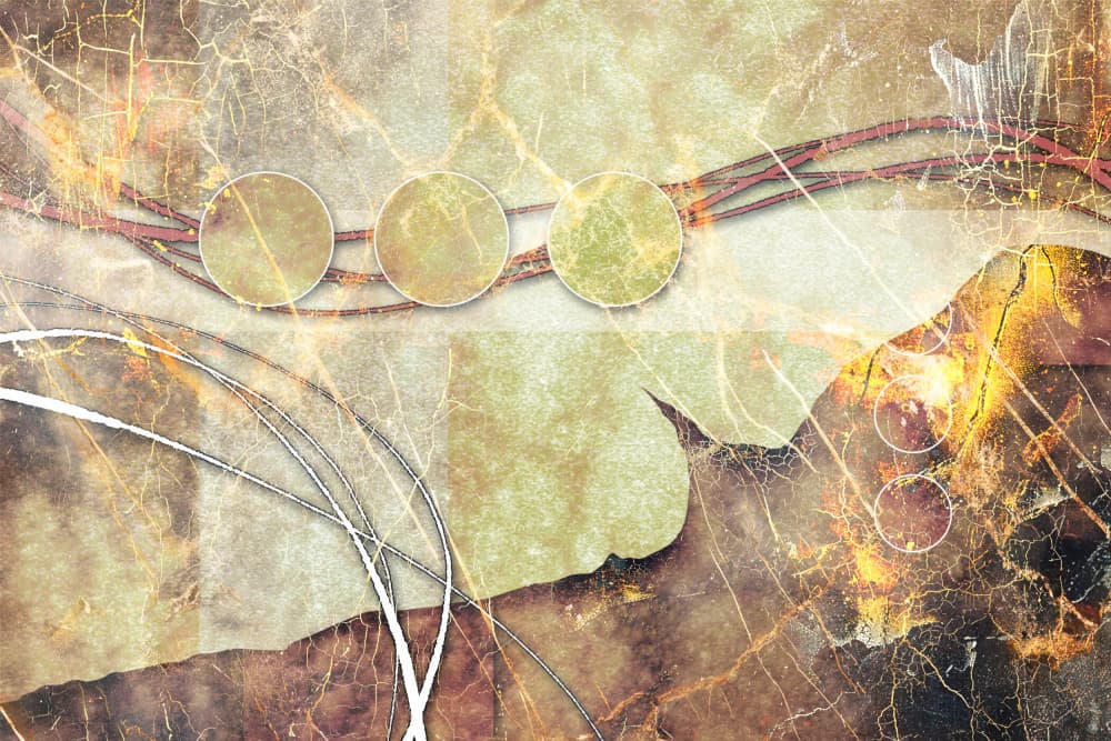 Earthy Organic Circles by Rafal Kulik — canvas wall art