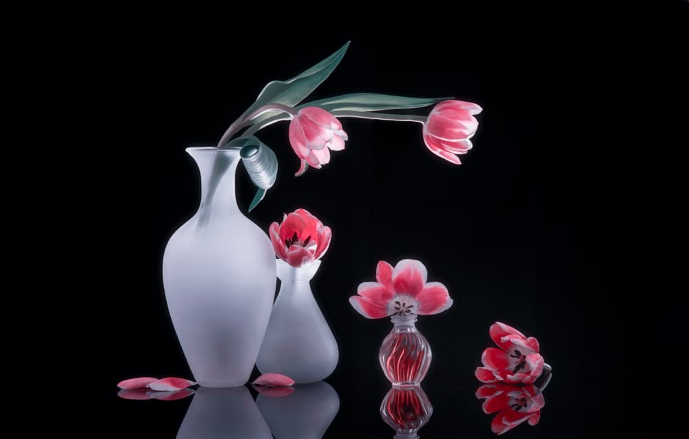 Pink Tulips Still Life by Alice Sheng — canvas wall art