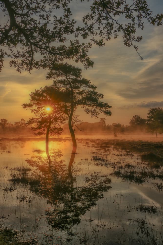 Misty Golden Sunrise Reflection by Hilda van der Lee — canvas wall art