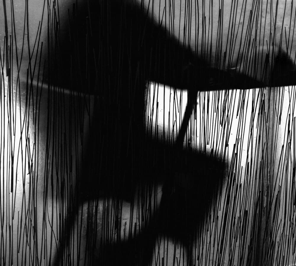 Dramatic Shadow Lines by Paulo Medeiros — canvas wall art