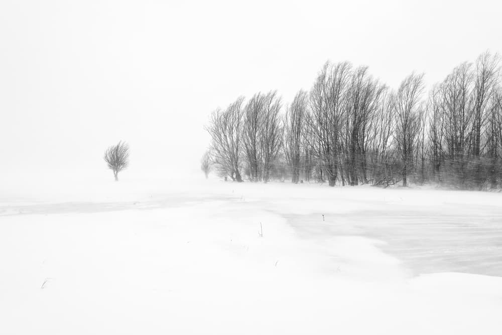 Stark Winter Solitude by Riccardo Lucidi — canvas wall art