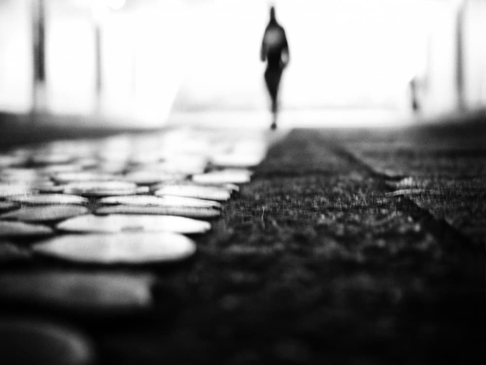 Solitary Path Ahead by Mirela Momanu — canvas wall art