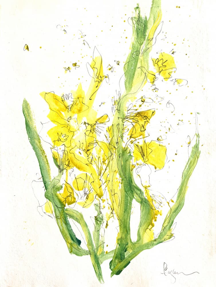 Bright Yellow Blooms by Dorothy Fagan — canvas wall art
