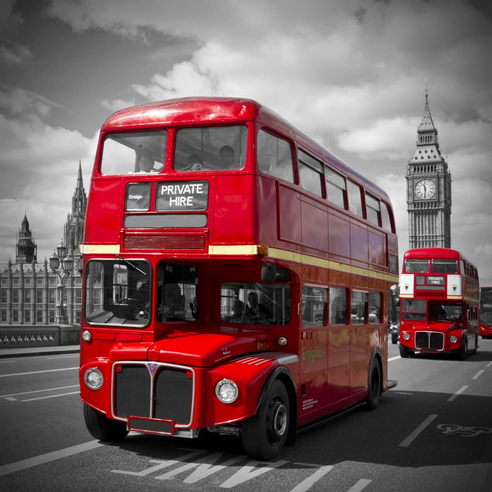 Iconic London Buses by Melanie Viola — canvas wall art