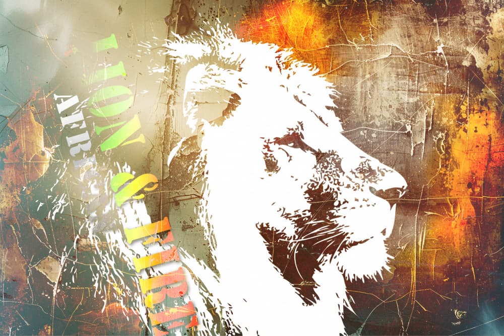 African Lion Spirit by Rafal Kulik — canvas wall art
