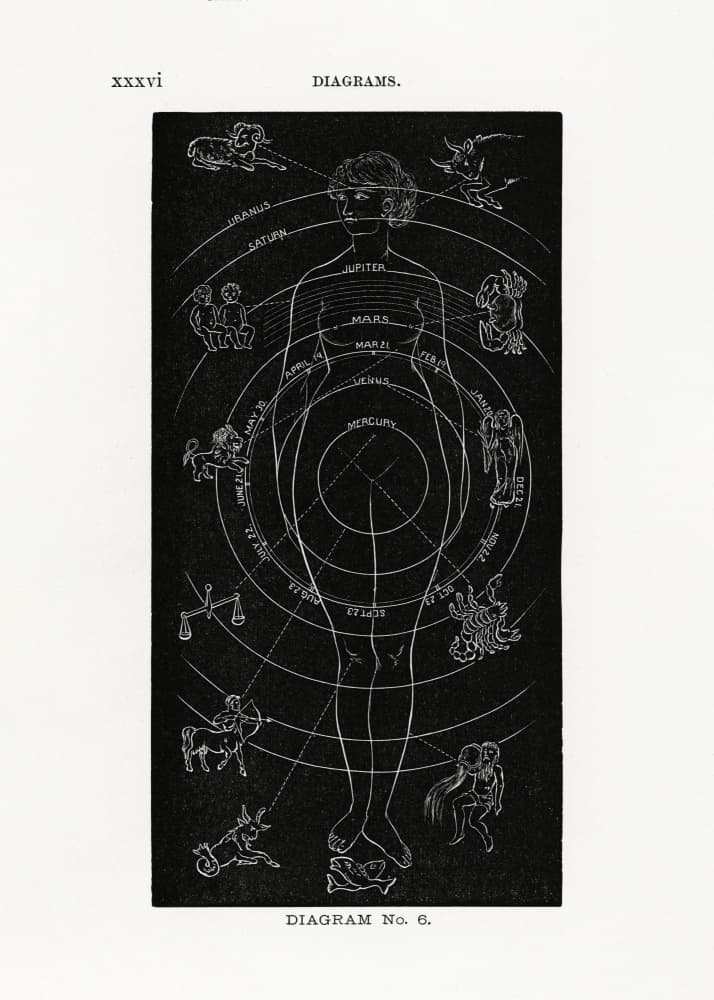 Solar Biology No. 6 by Hiram Eratus Butler — canvas wall art