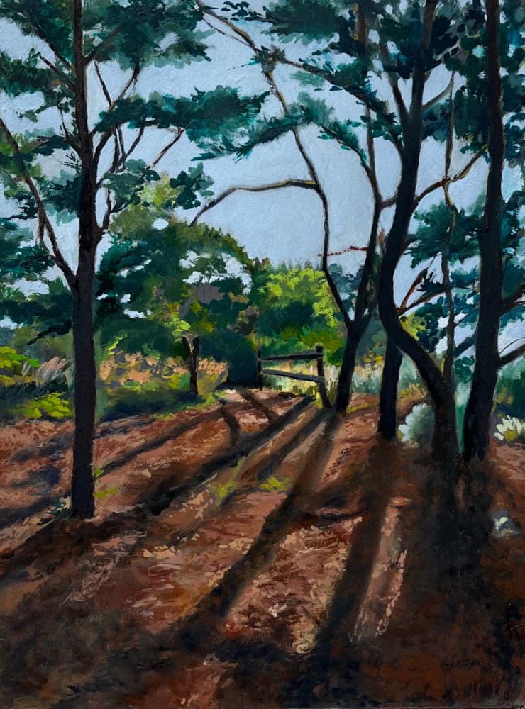 Forest Trail Long Shadows by Maxine Shore — canvas wall art