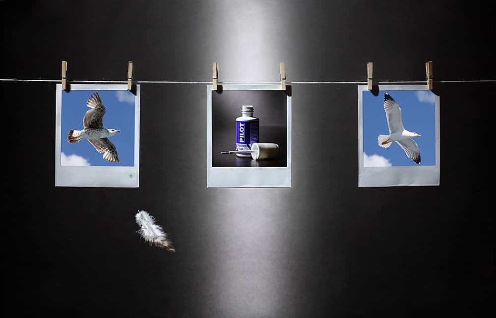 Seagull Ink Memories by Victoria Glinka — canvas wall art
