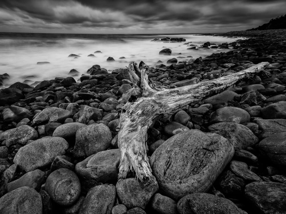 Dramatic Coastal Driftwood by Martin Steeb — canvas wall art