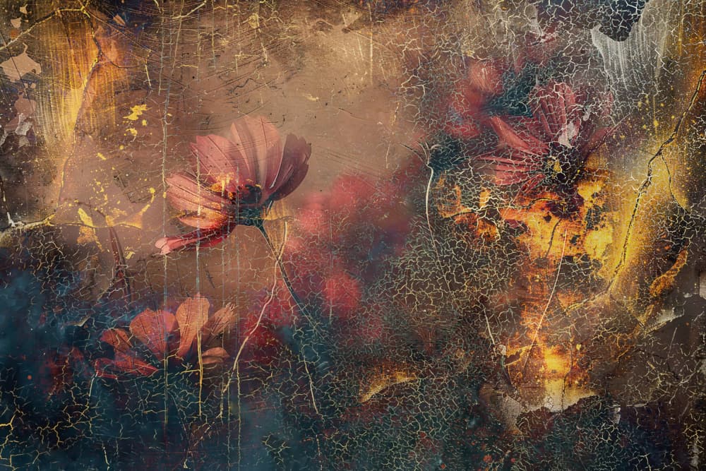 Distressed Cosmos Bloom by Rafal Kulik — canvas wall art