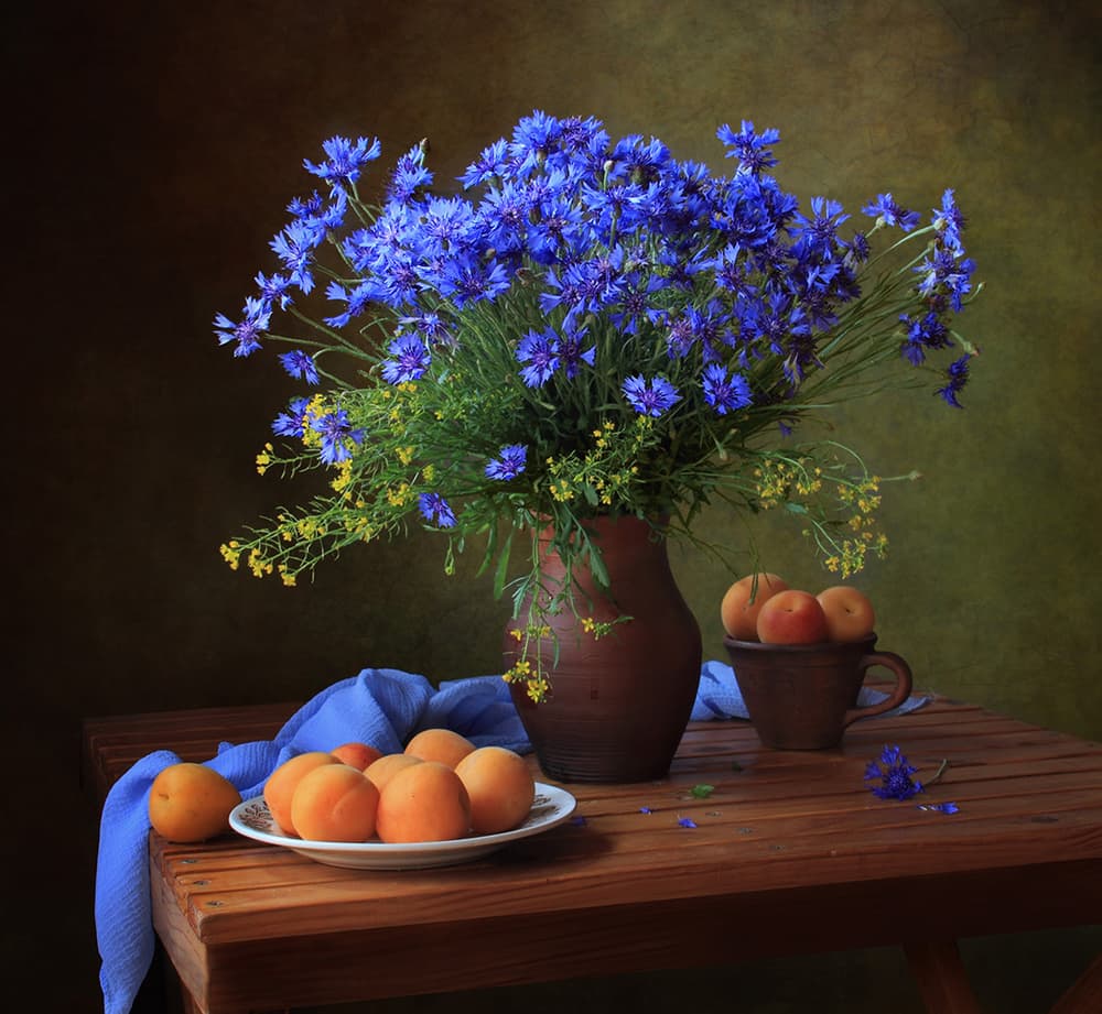Blue Cornflowers And Apricots by Tatyana Skorokhod — canvas wall art