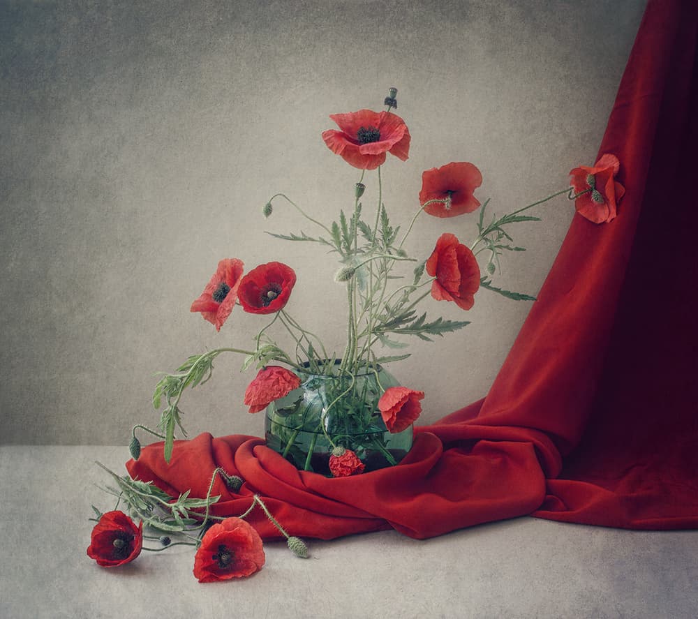 Classic Poppy Still Life by Dimitar Lazarov - Dim — canvas wall art