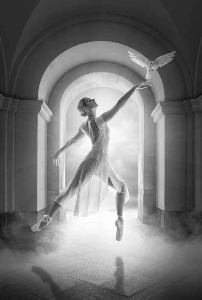 Ethereal Ballerina Dove by Marcel Egger — canvas wall art