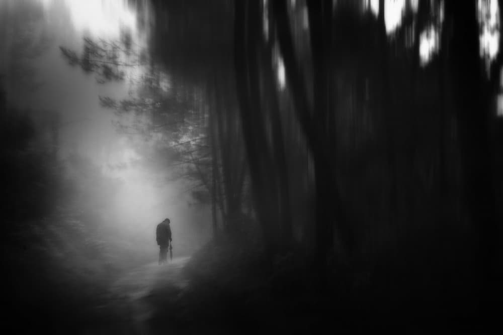 Lone Walker Misty Woods by Hari Sulistiawan — canvas wall art