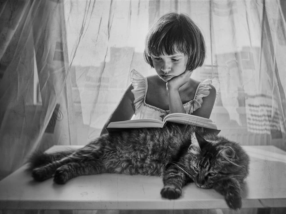 Quiet Reading Companion by Marius Cinteza — canvas wall art